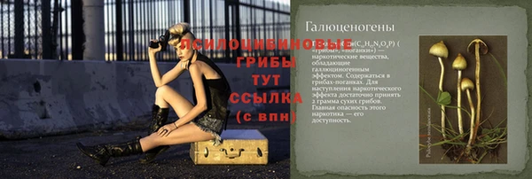 дмт Аркадак