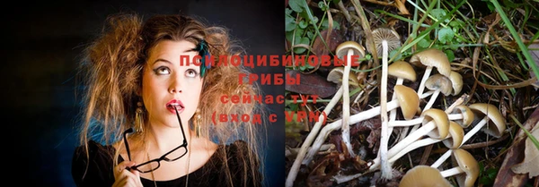 синтетический гашиш Арсеньев