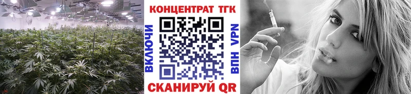 ТГК Wax  Горбатов 
